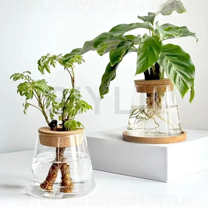 EcoBloom Vases