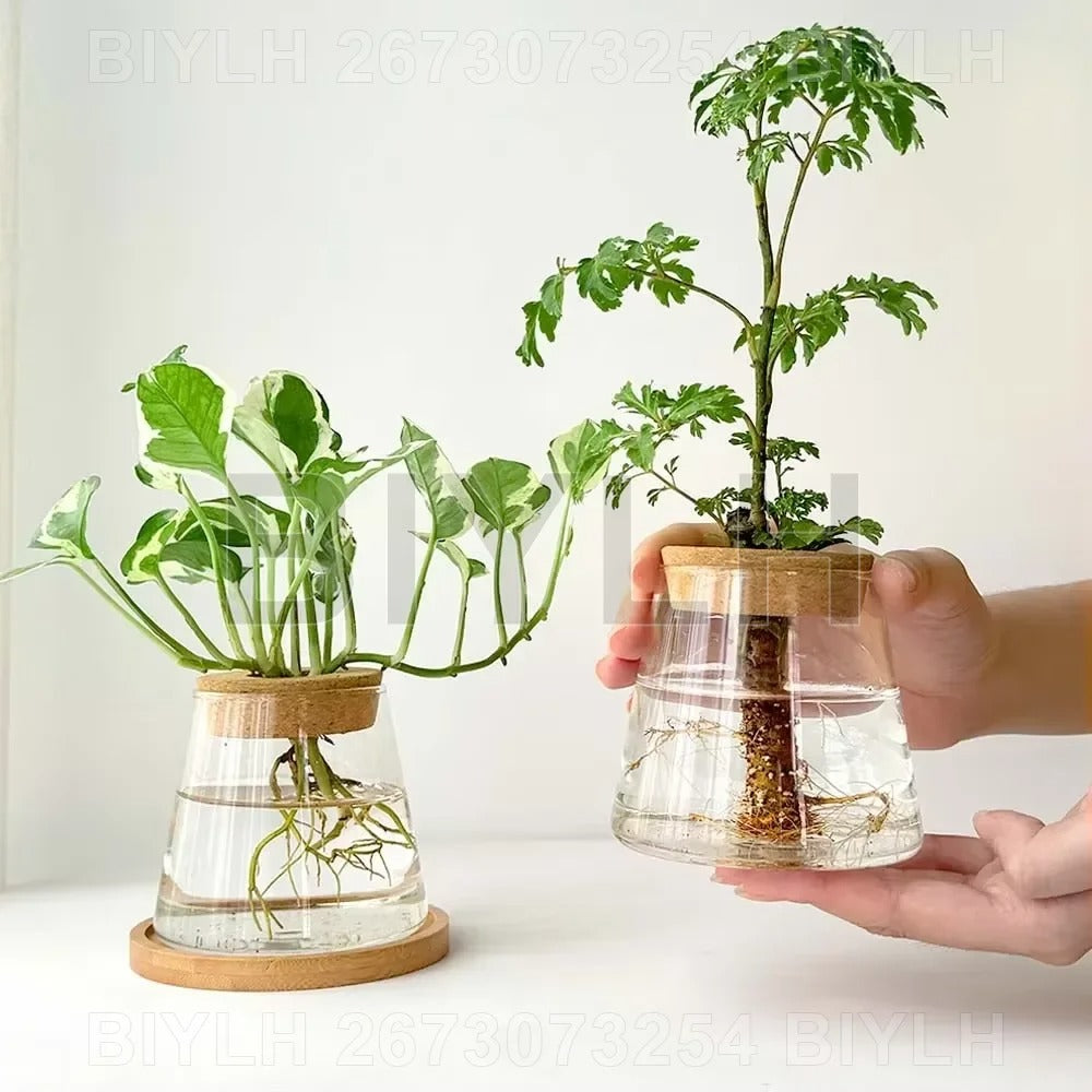 EcoBloom Vases