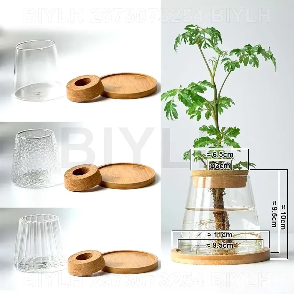 EcoBloom Vases