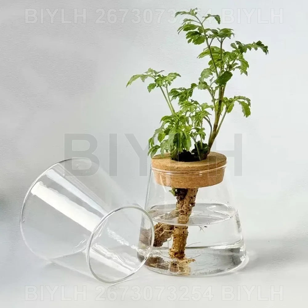 EcoBloom Vases