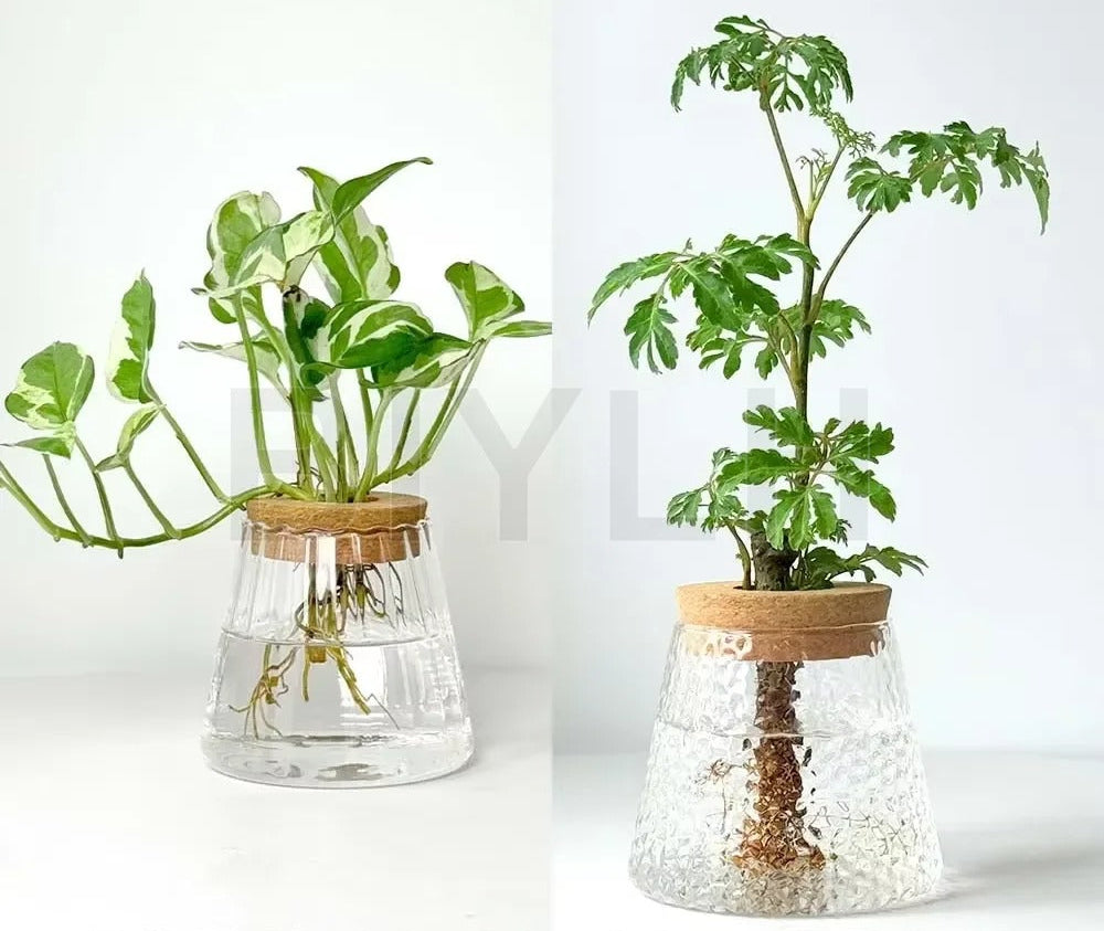 EcoBloom Vases